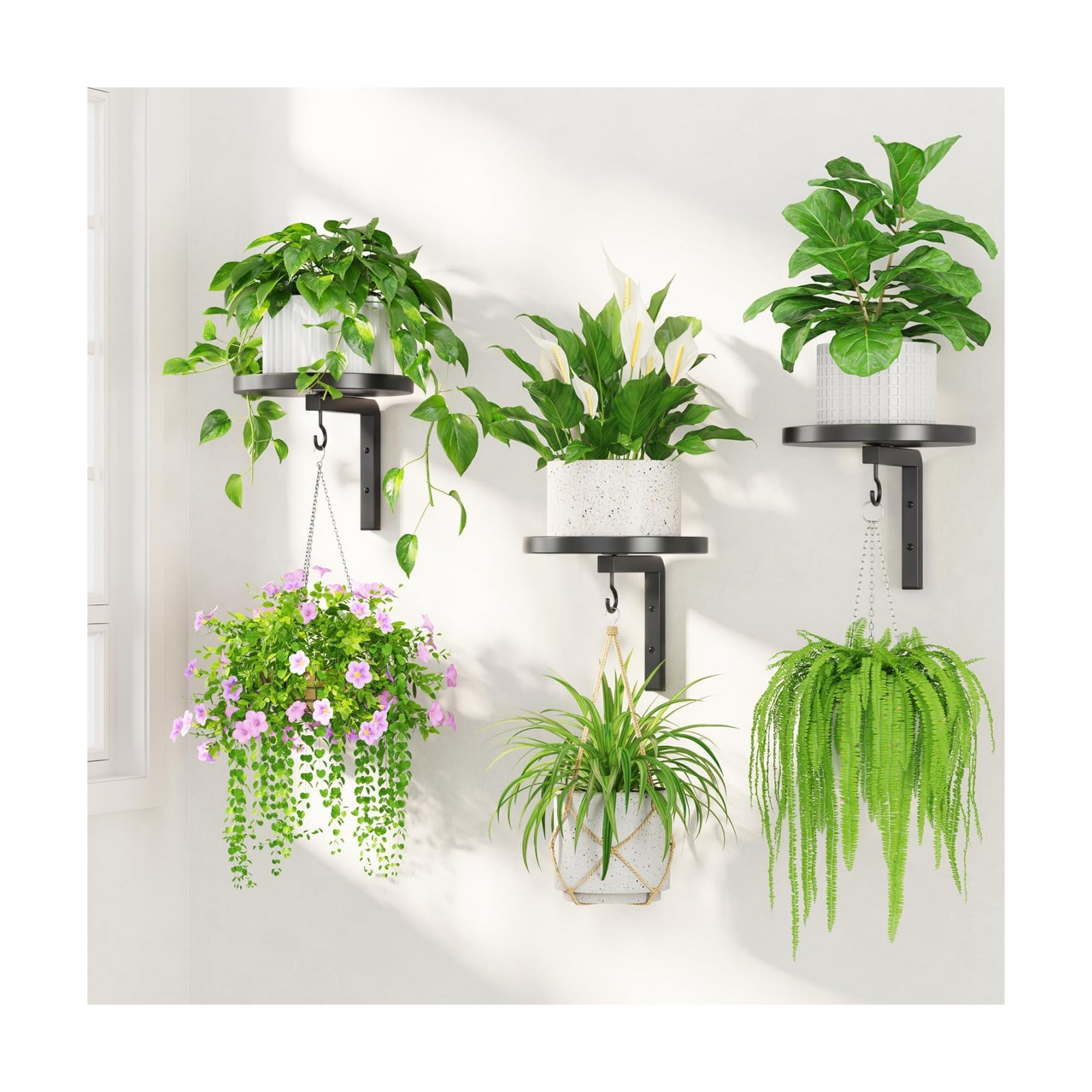 LASZOLA Plant Hanger Holder Window Shelf Wall Mounted Indoor, 3 Pcs Black | Modern Metal Floating Stand, Hanging Flower