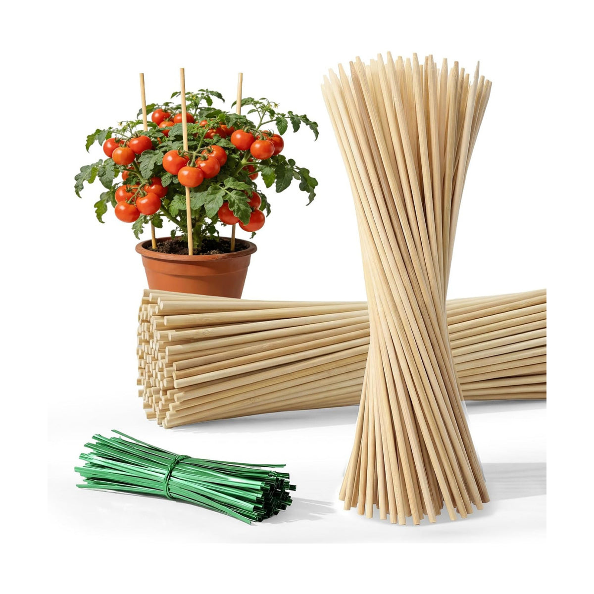 MAQIHAN Plant Stakes for Indoor Plants - 40PCS Plant Support Sticks, 9.8"