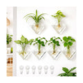 Yungyan 6 Pack Wall Mounted Glass Planter Borosilicate Glass Diamond Hanging Vase with Hidden Invisible Hook Hydroponic