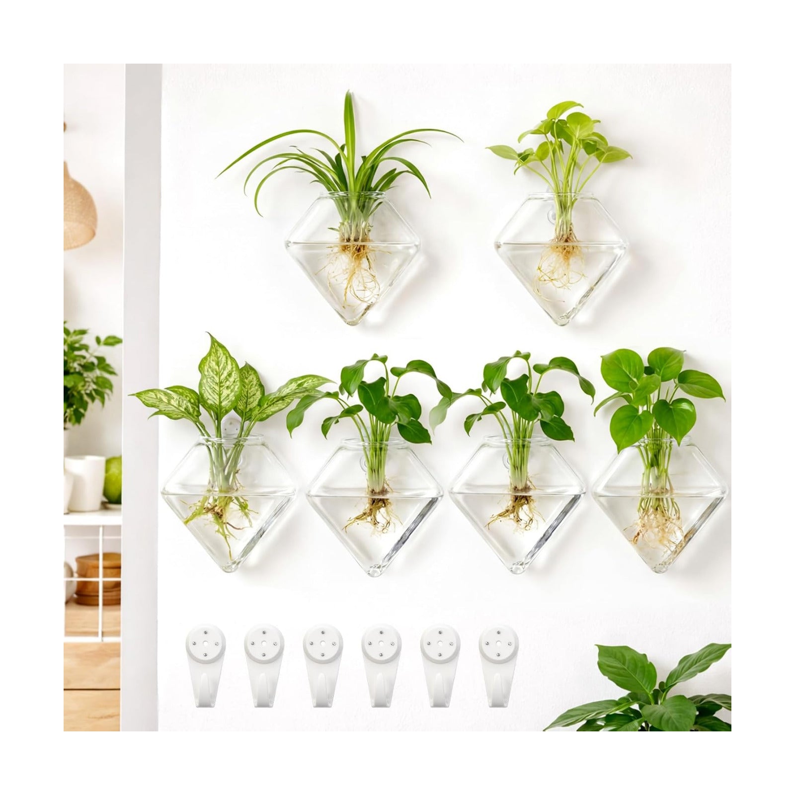 Yungyan 6 Pack Wall Mounted Glass Planter Borosilicate Glass Diamond Hanging Vase with Hidden Invisible Hook Hydroponic