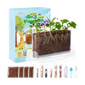 TitaniX Root Viewer Kit for Kids with 6 Seed Varieties, STEM Science Toy & Craft Growing Kits for Boys & Girls, Grow