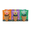 BUZZY Seeds Wildflower Seed Ball Cup 6-Pack – Over 50 Seeds Per Ball, Colorful Decorative Seed Balls in Biodegradable