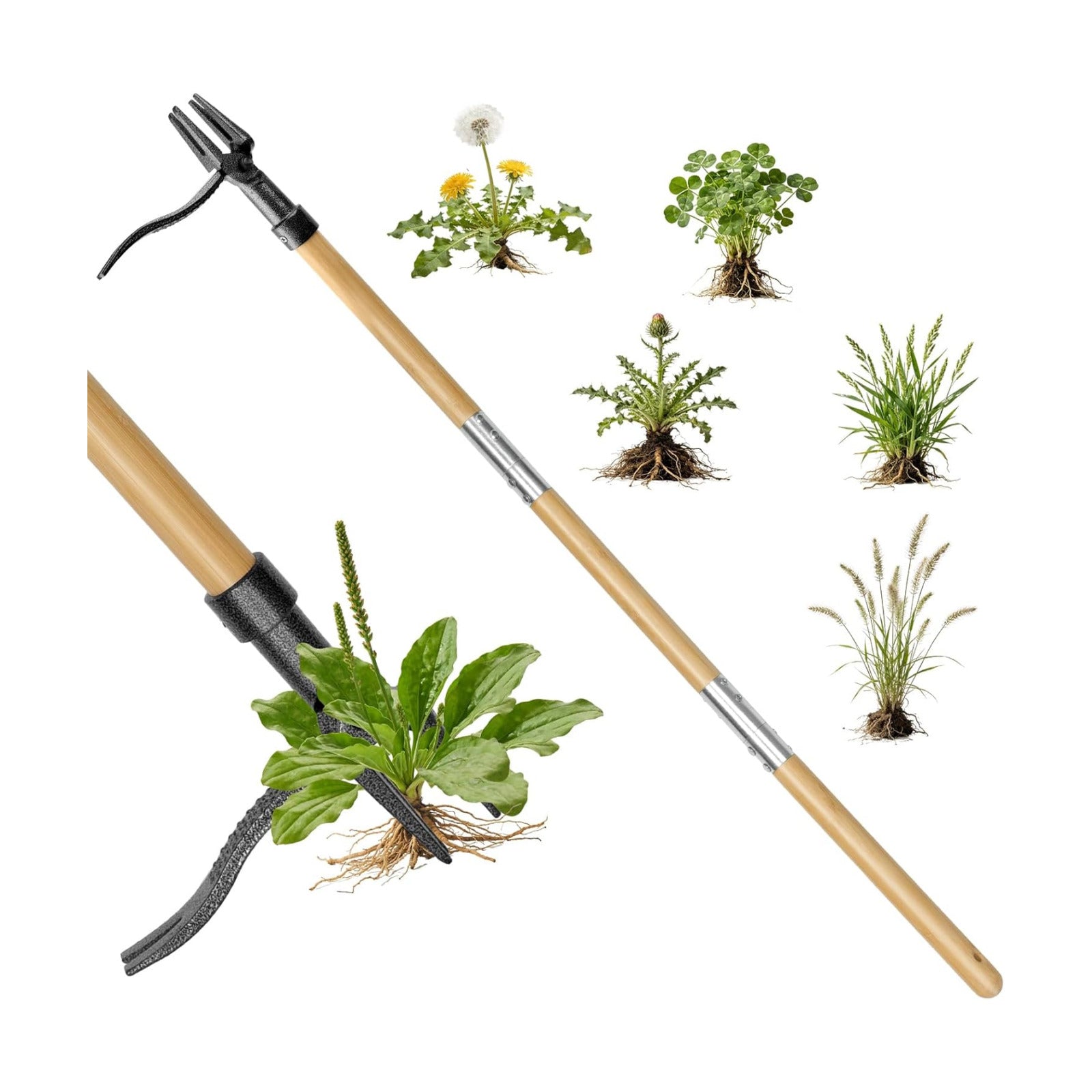 Stand Up Weed Puller Tool, Real Bamboo Long Handle 4-Claw Steel Head Weeder | 31"-44.5" Adjustable Height, Heavy Duty