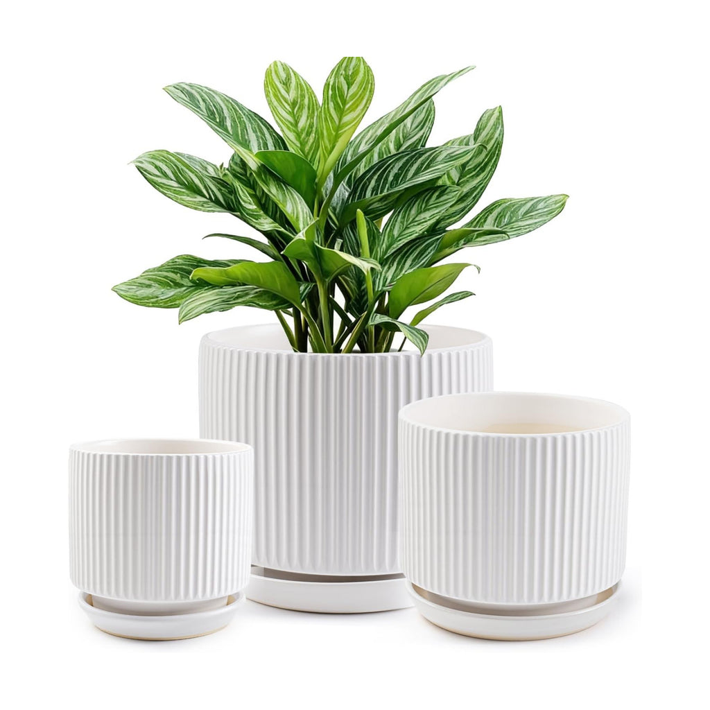 Ceramic-Flower-Pots-Sets-with-Saucer, 5/6/8 inch Small Planters for Indoor Plants with Drainage Hole, White Vertical