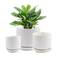 Ceramic-Flower-Pots-Sets-with-Saucer, 5/6/8 inch Small Planters for Indoor Plants with Drainage Hole, White Vertical