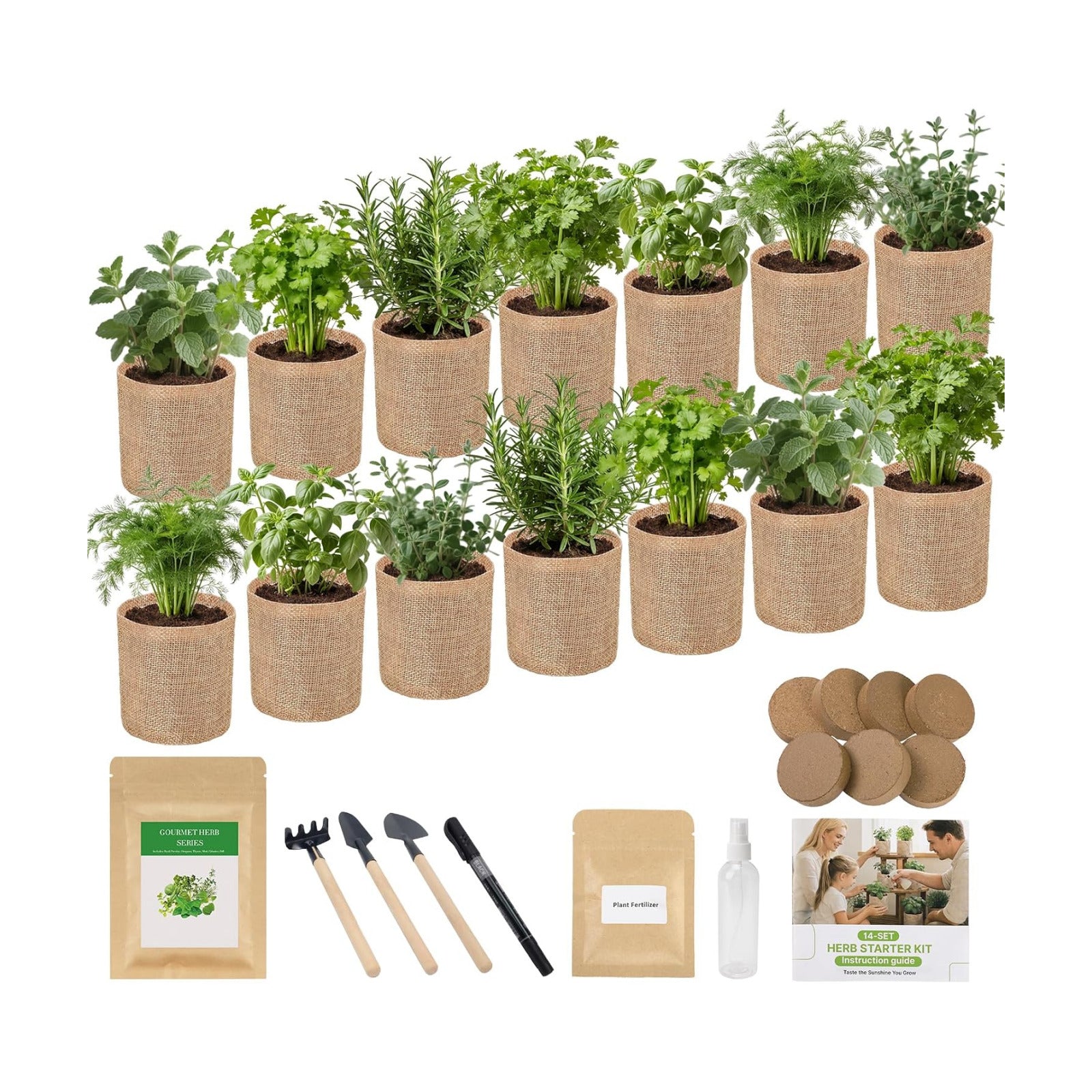 Herb Indoor Window Garden Kit - House Plants Seeds - Best Unique Christmas Gift Ideas for Women, Friend, Birthday