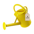 1 Gallon Metal Watering Can for Outdoor&Indoor Plants | Removable Sprinkler Head,Made of Premium Galvanized