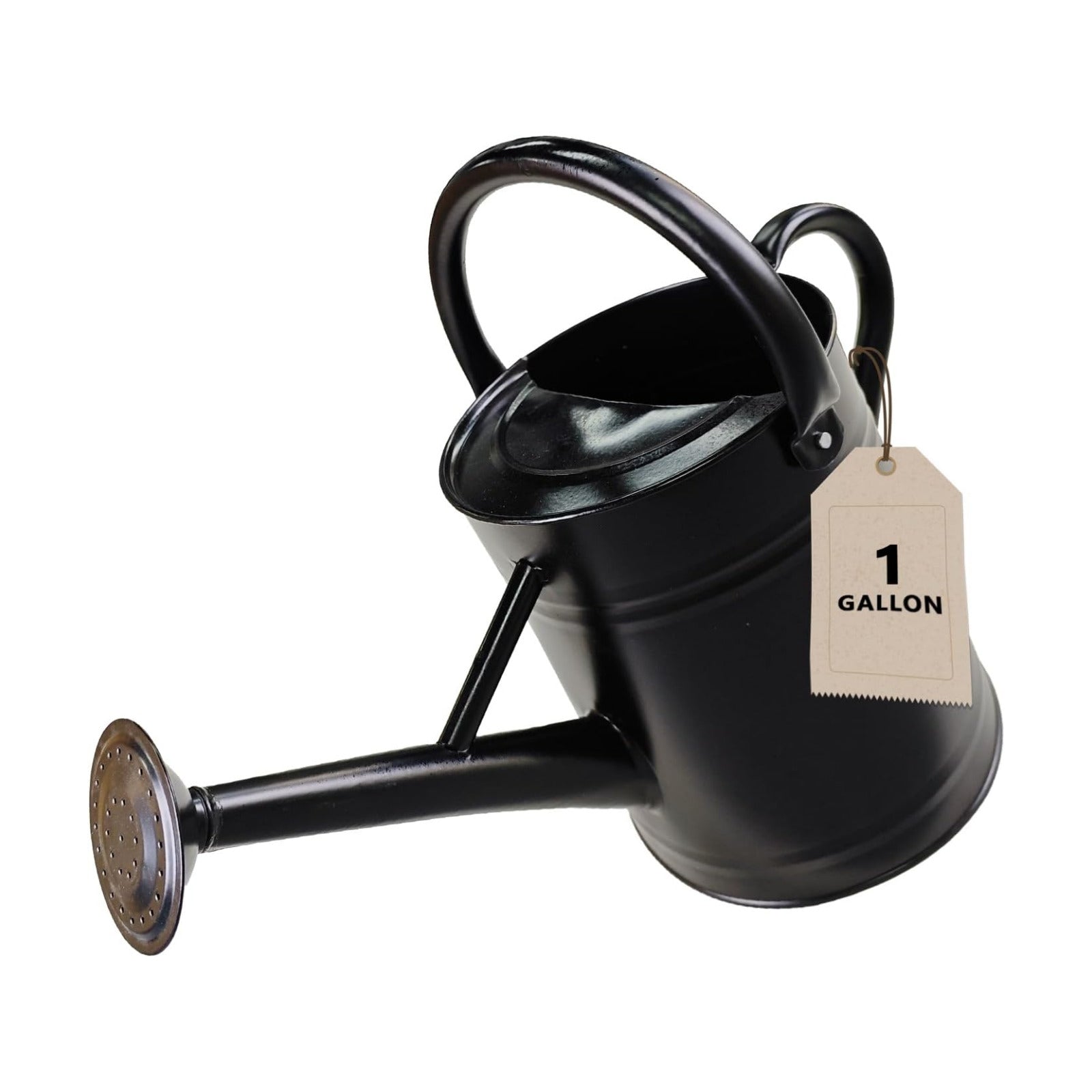 1 Gallon Metal Watering Can for Outdoor&Indoor Plants | Removable Sprinkler Head,Made of Premium Galvanized