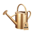 1 Gallon Metal Watering Can for Outdoor&Indoor Plants | Removable Sprinkler Head,Made of Premium Galvanized