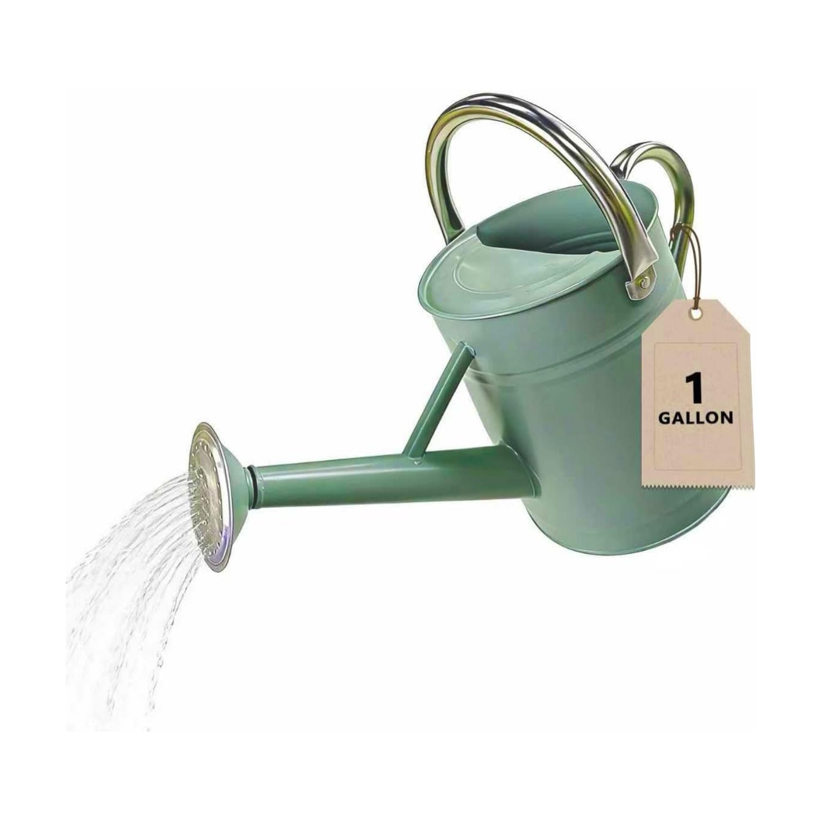 1 Gallon Metal Watering Can for Outdoor&Indoor Plants | Removable Sprinkler Head,Made of Premium Galvanized