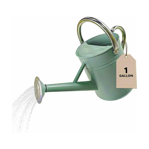 1 Gallon Metal Watering Can for Outdoor&Indoor Plants | Removable Sprinkler Head,Made of Premium Galvanized