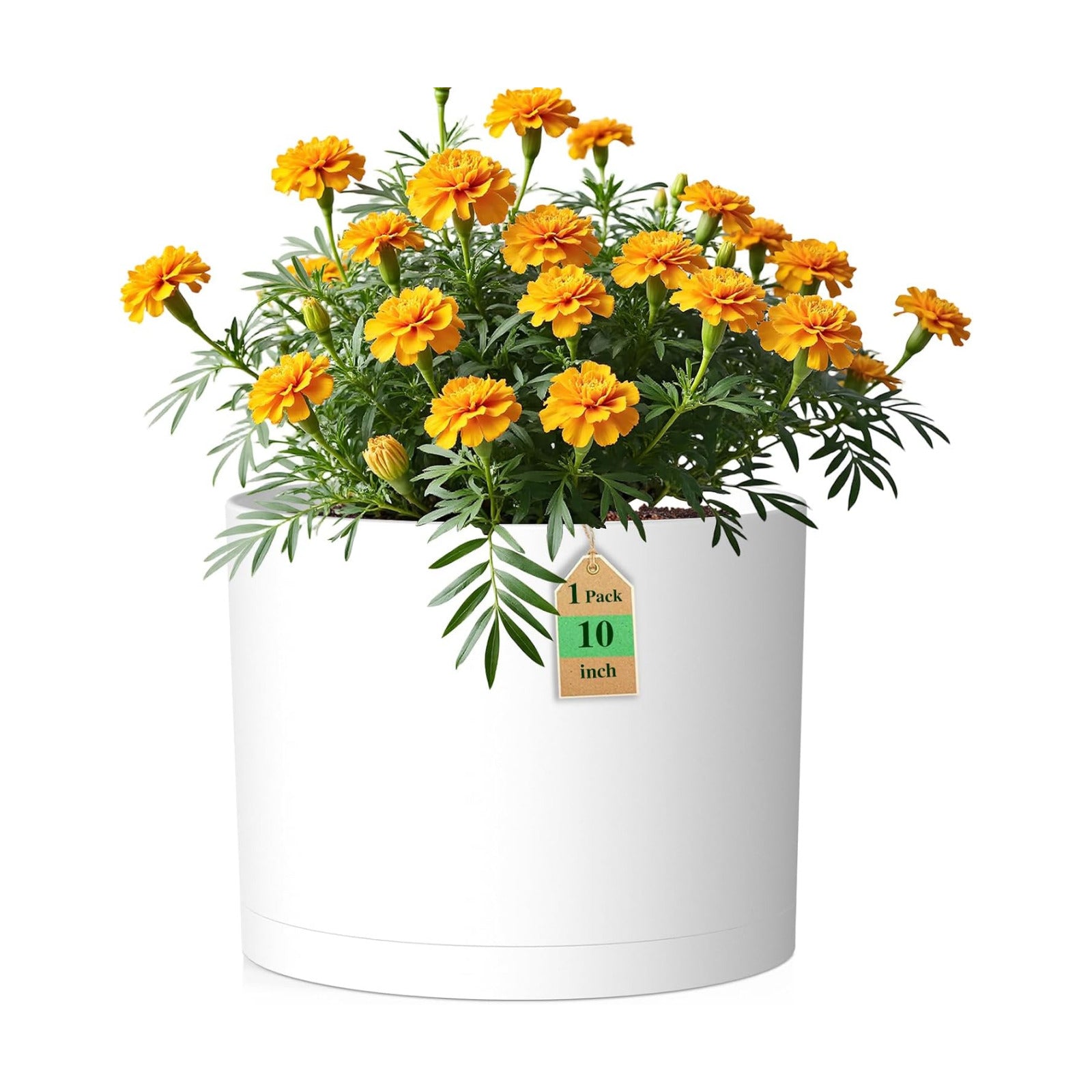 10 Inch Round Plastic Plant Pot with Drainage Holes and Saucer, Wide Flower Pots for Indoor & Outdoor Plants– 7.9" Tall