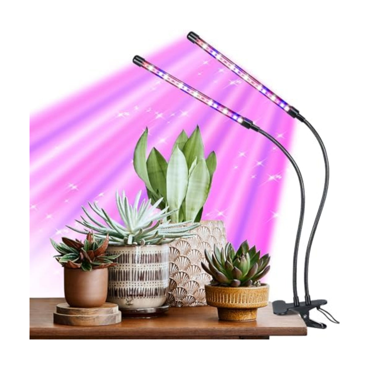 Indoor Plant Grow Light, Full Spectrum Clip Plant Lamp with Red, Blue, White Light, Plant Growing Light with Adjustable Gooseneck, 4/8/12/18H Timer, 10 Brightness Levels, 3 Lighting Modes, 2 Head