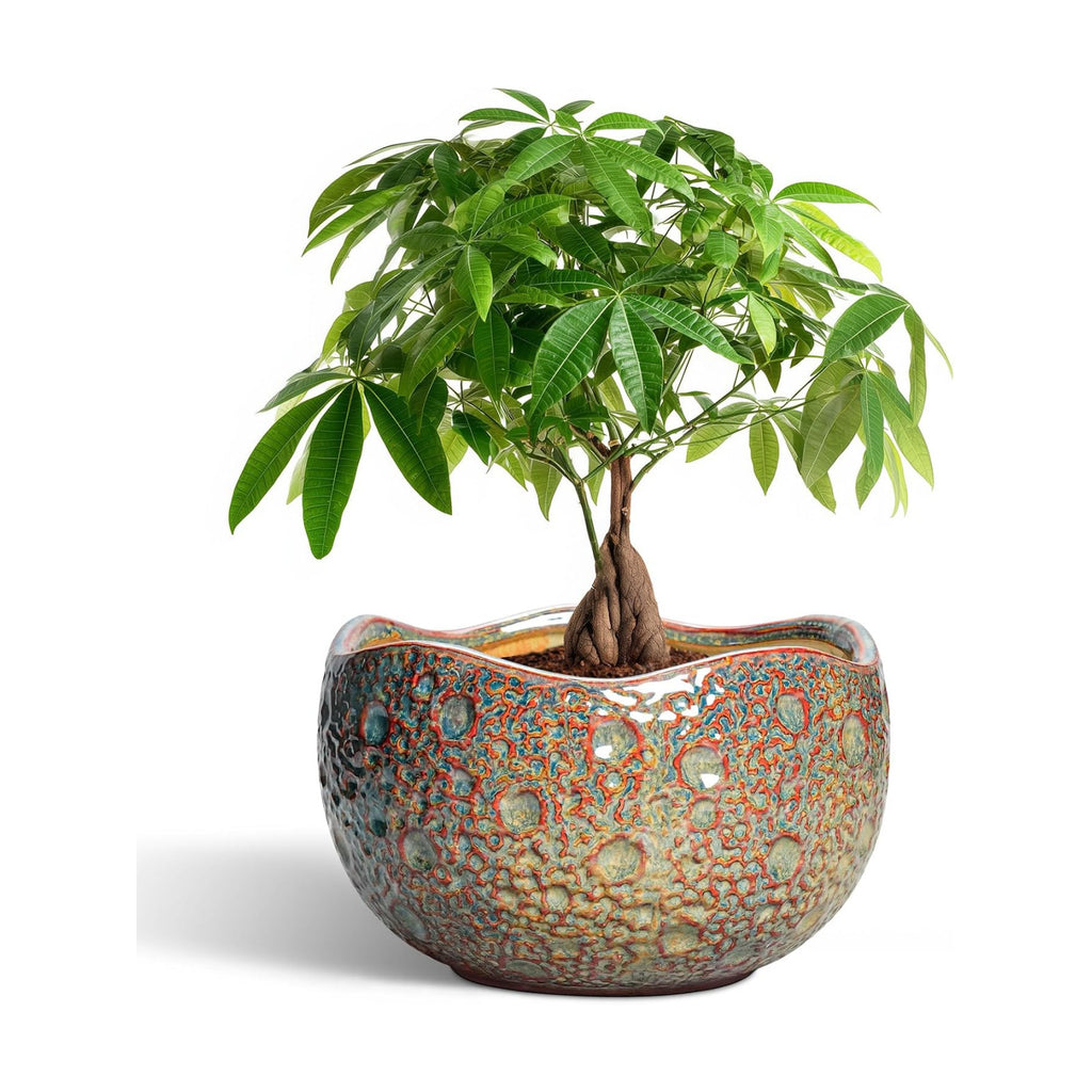 10 Inch Plant Pot - Ceramic Planter with Drainage Hole and Plug, Unique Round Planters for Indoor Outdoor Plants