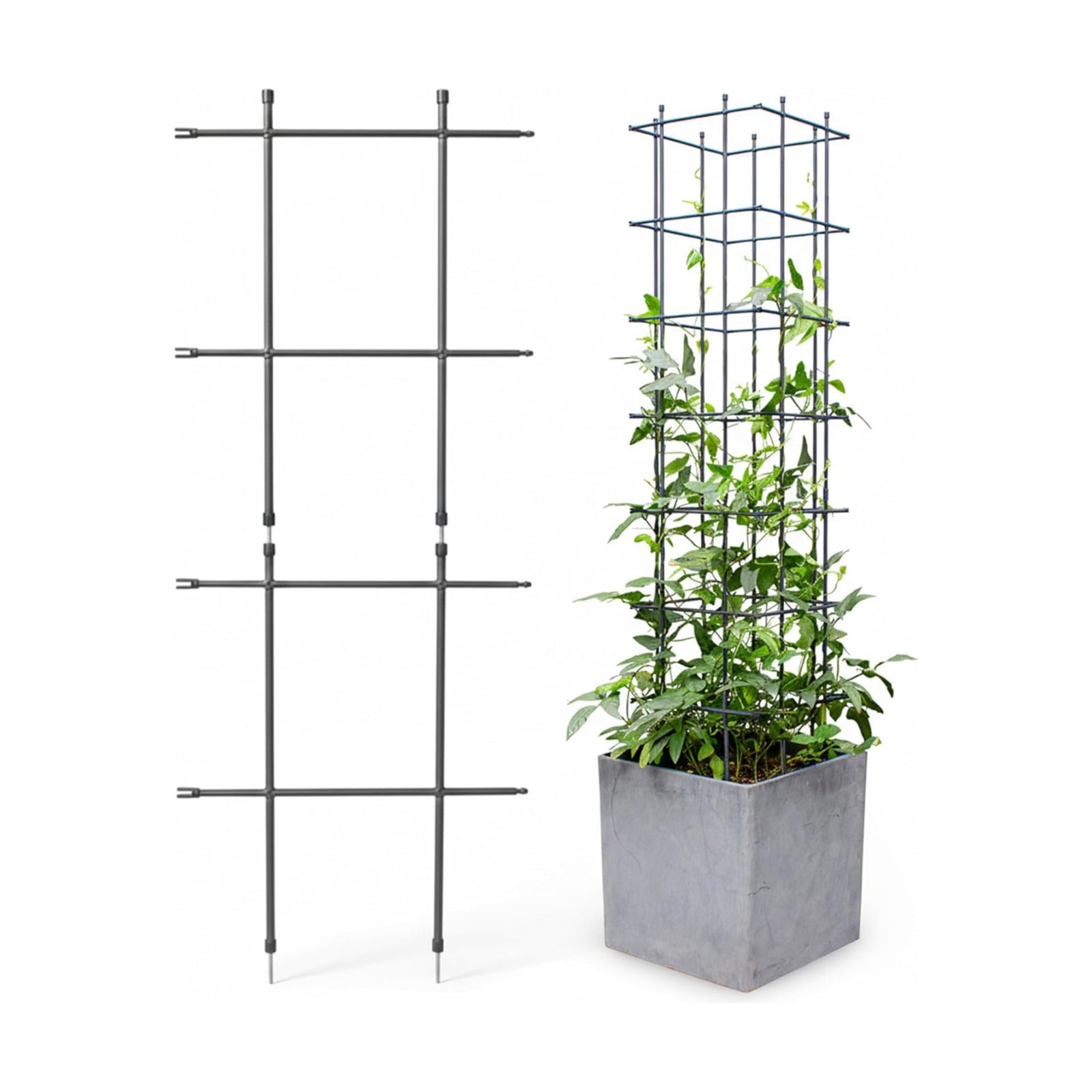 DAIM Multi Link Trellis Plant Support Garden Trellis for Climbing Plants Outdoor Plant Supports for Indoor Plants