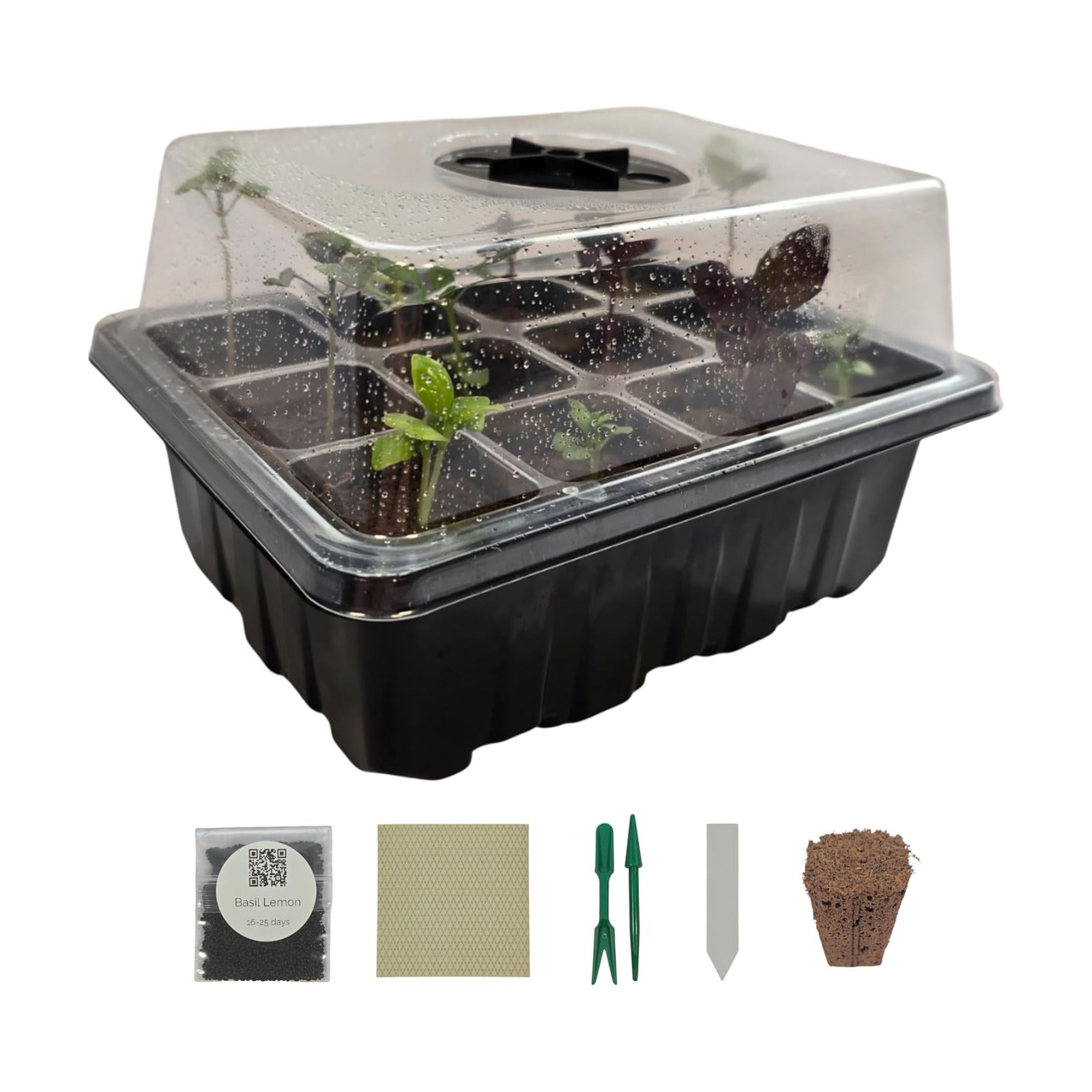 Seed Starter Kit with Humidity Dome – 12-Cell Indoor Pre-Seeded Seed Starting Tray with Basil & Microgreens – Complete