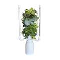Hydroponic Tower Planter for 18 Plants - Vertical Indoor System | Complete Plant Growing Starter Kit, Herb and