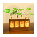 Plant Propagation Station with Glass Tubes – Wooden Plant Cutting Vase Holder, Water Propagation Kit for Indoor Plants