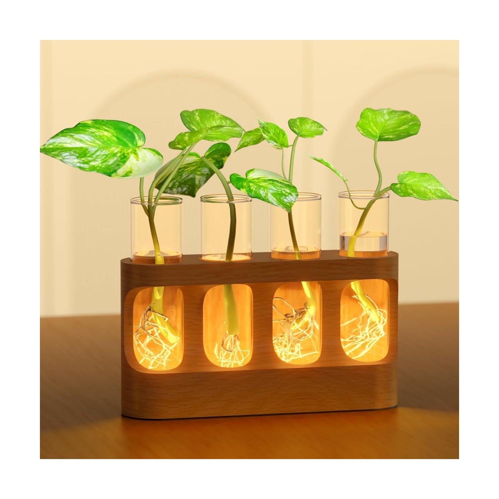 Plant Propagation Station with Glass Tubes – Wooden Plant Cutting Vase Holder, Water Propagation Kit for Indoor Plants