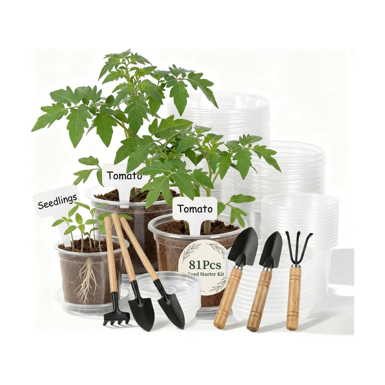 Clear Nursery Pots with Drainage, 81 Pcs Set, 4/5/6 Inch Plastic Pots for Indoor Plants, Seed Starter Kit with Plant