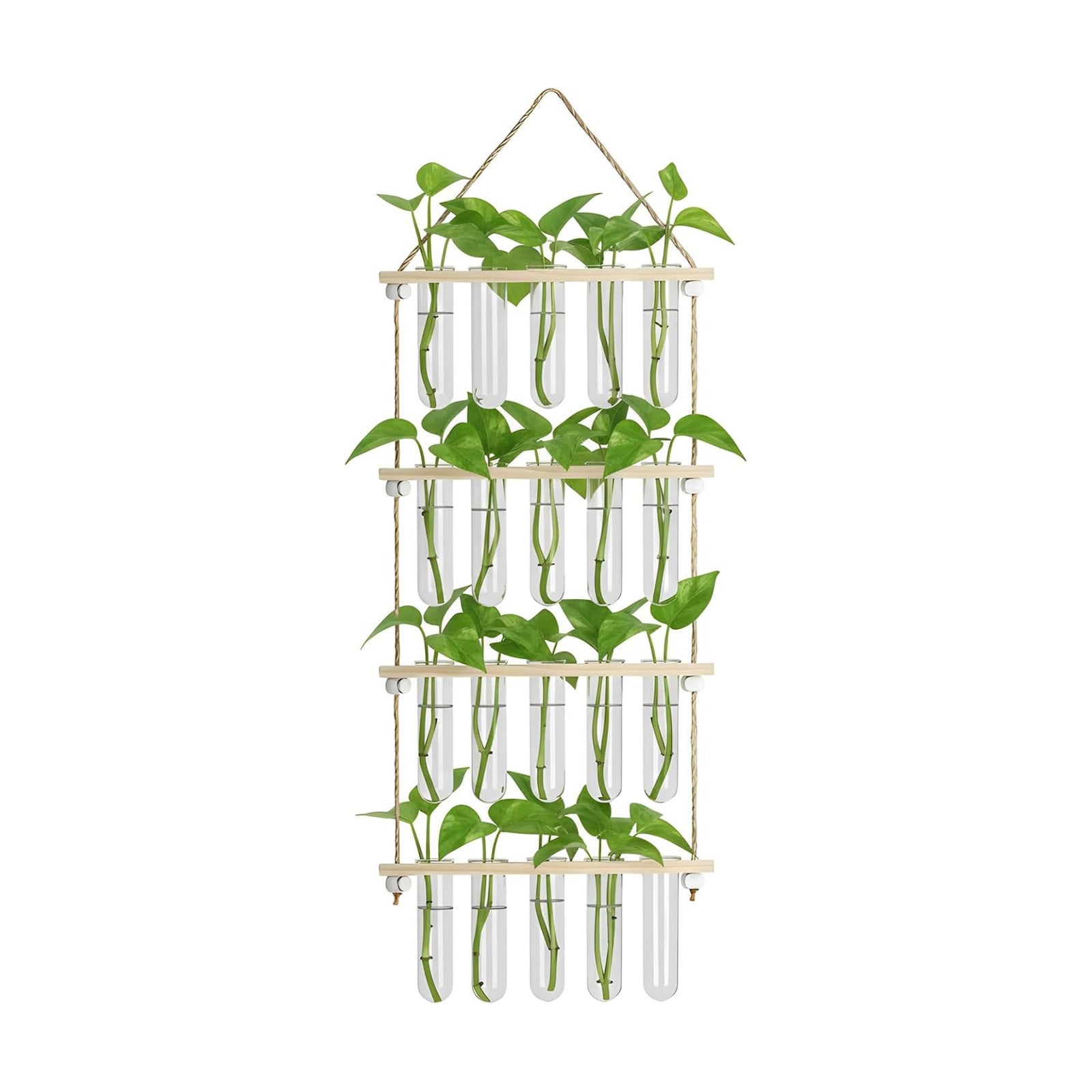 20 Tubes Hanging Plant Propagation Station,Hydroponic 4 Tiered Wall Planter | Wall Mounted Propagation Planters With