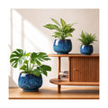 BUYMAX Ceramic Plant Pots Set of 3, 6 & 8 & 10 Inch Indoor Planters | Three Sizes For Different Plants and Spaces