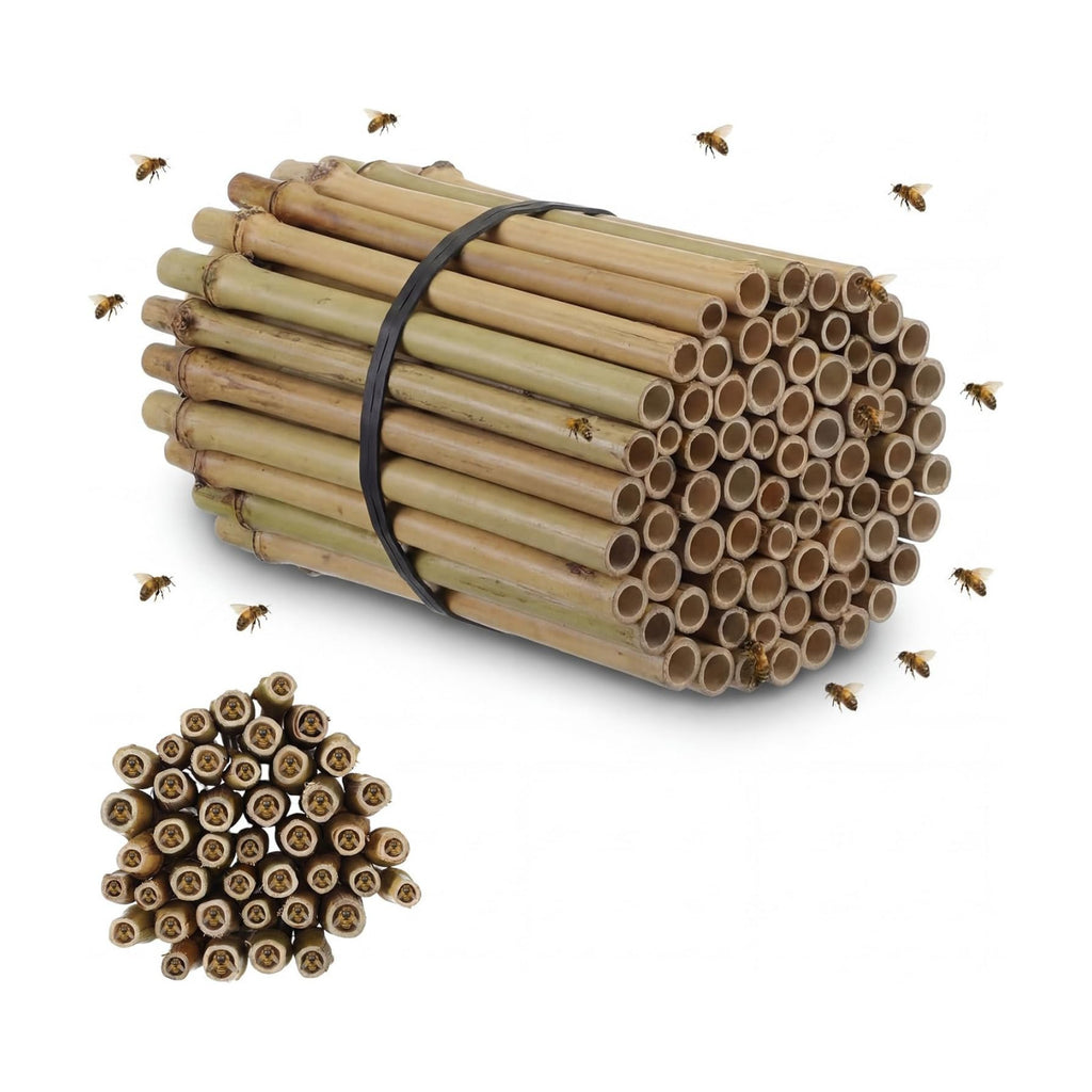 100 Pcs 5.9" Mason Bees Bamboo Tubes Natural Nest Mason Bees House 0.27"-0.4" Inner Diameter for Bee Hotels Solitary