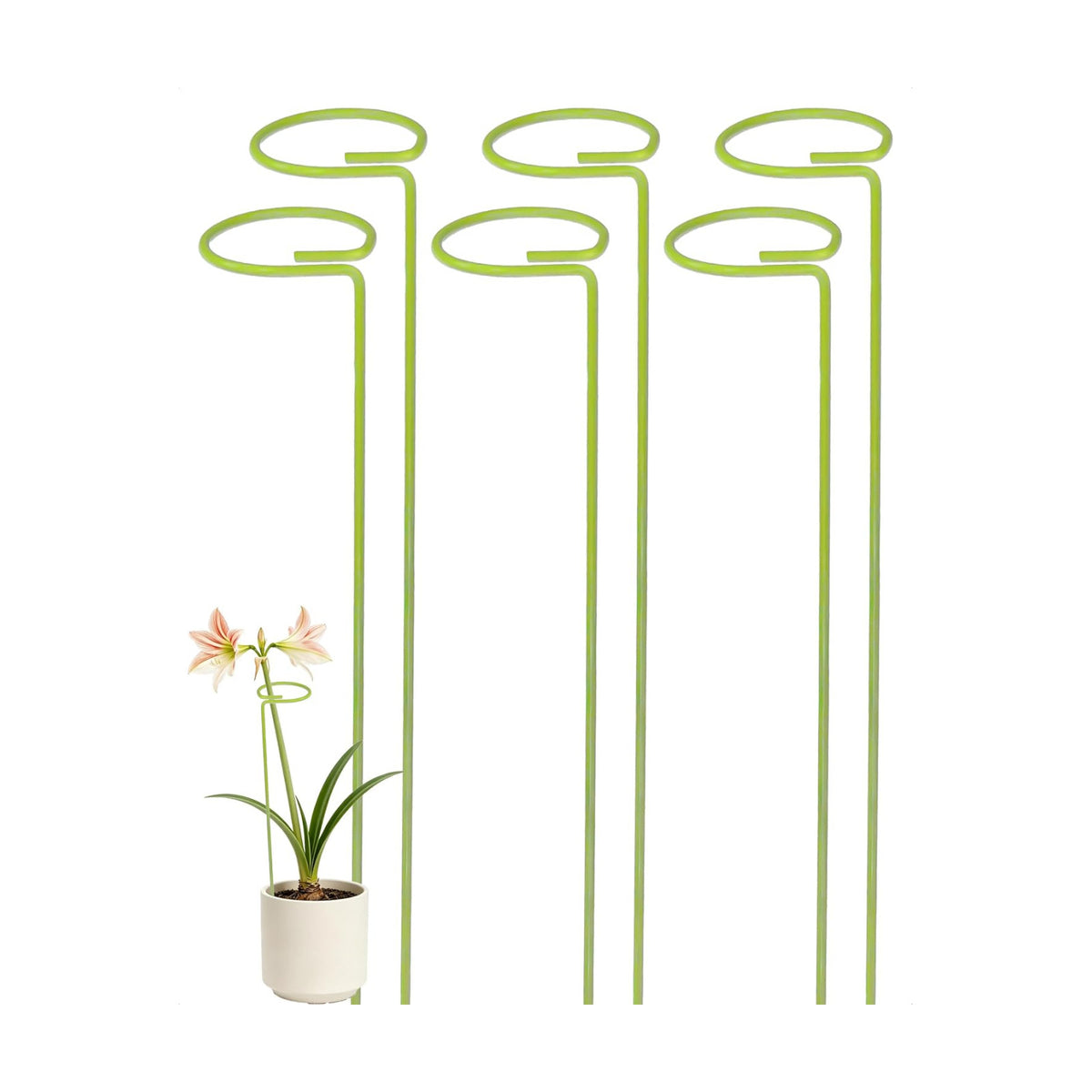 6-Pack Plant Support Stakes for Indoor Plants, Monstera Plant Support & Tall Sticks, Heavy Duty Adjustable 15.8-Inch Garden Stakes for Amaryllis, Snake Plant, Indoor Outdoor Use