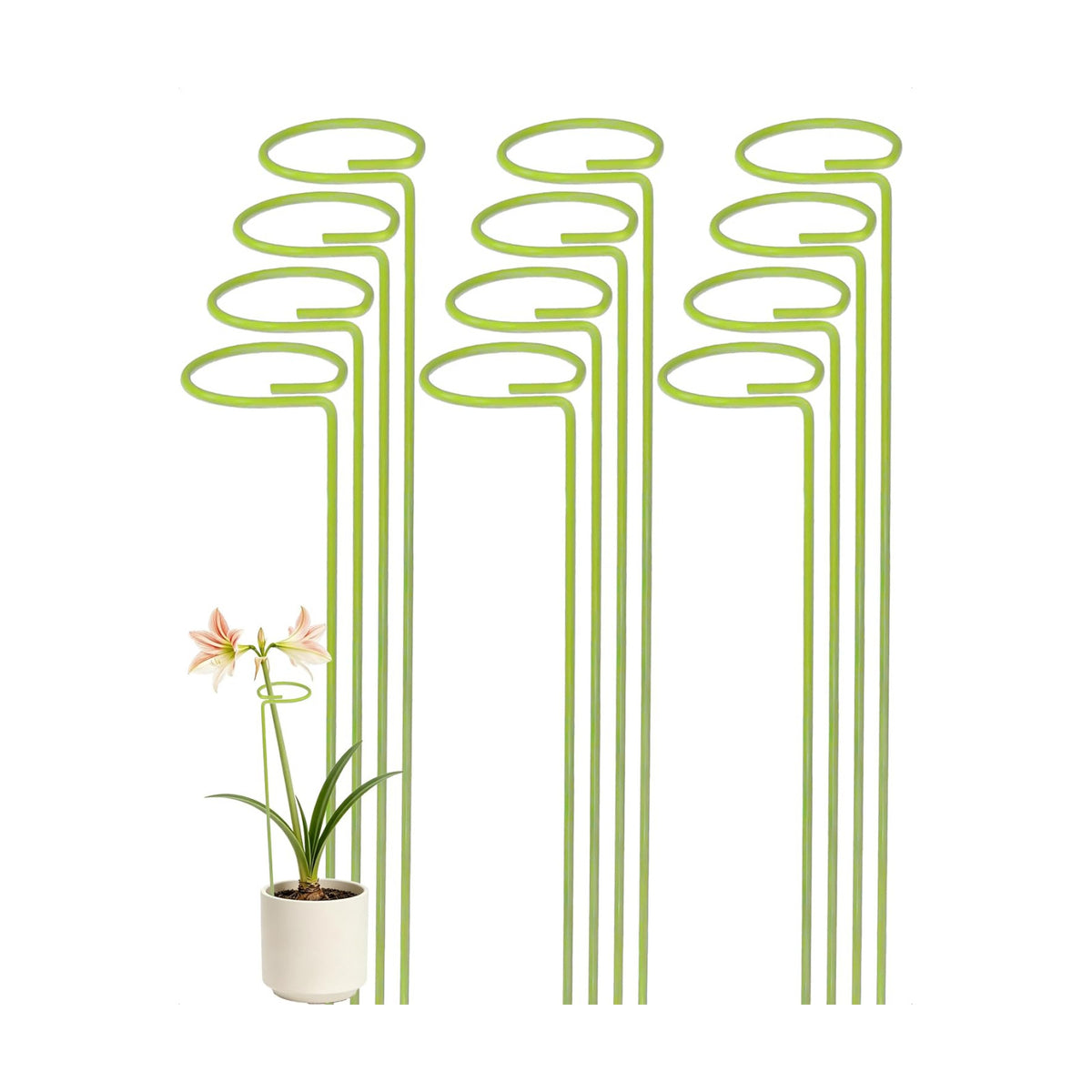 12-Pack Plant Support Stakes for Indoor Plants, Monstera Plant Support & Tall Sticks, Heavy Duty Adjustable 15.8-Inch Garden Stakes for Amaryllis, Snake Plant, Indoor Outdoor Use