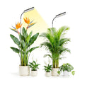 Plant Lights for Indoor Growing, 306LEDs Full Spectrum Grow Light | 7.9in Grow lights, 10-65in Height Adjustable for
