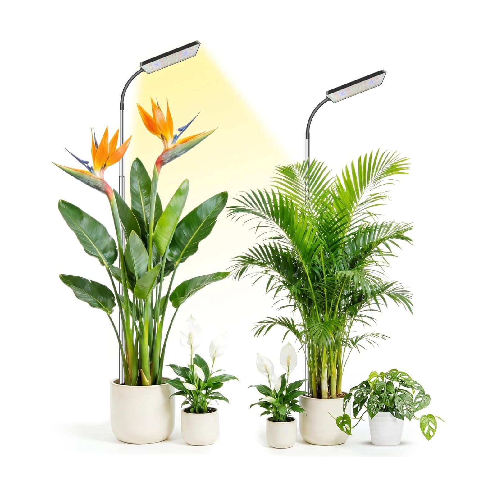 Plant Lights for Indoor Growing, 306LEDs Full Spectrum Grow Light | 7.9in Grow lights, 10-65in Height Adjustable for