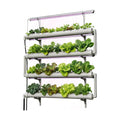 NFT Hydroponics Growing System，36 Pods Wall-Mounted Indoor Garden，Full Spectrum Grow Lights and Powerful Water
