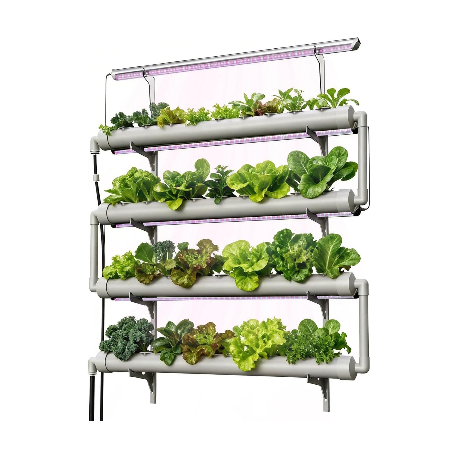 NFT Hydroponics Growing System，36 Pods Wall-Mounted Indoor Garden，Full Spectrum Grow Lights and Powerful Water
