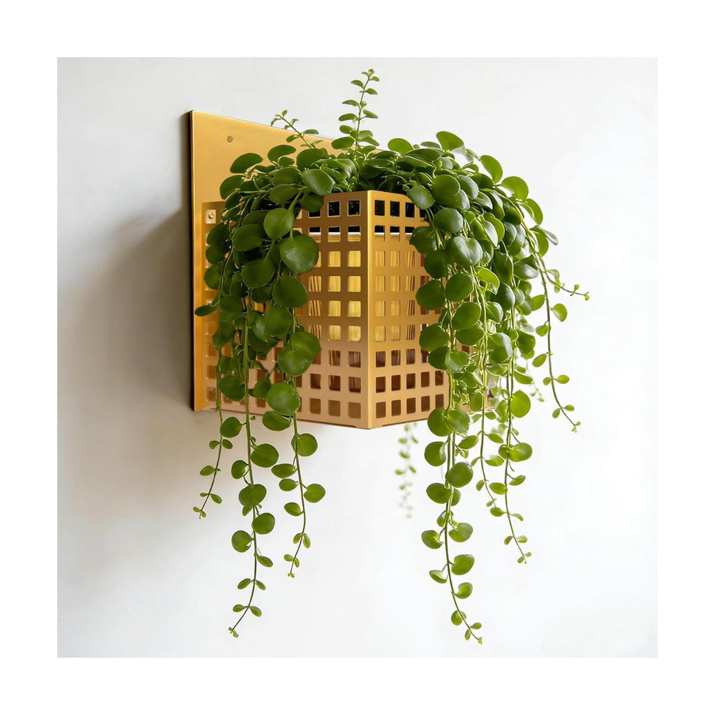 Self-Watering Wall Mount Planter – Gold Indoor Plant Holder Wall Hanging | Self-watering, less care. Antique gold