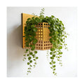 Self-Watering Wall Mount Planter – Gold Indoor Plant Holder Wall Hanging | Self-watering, less care. Antique gold