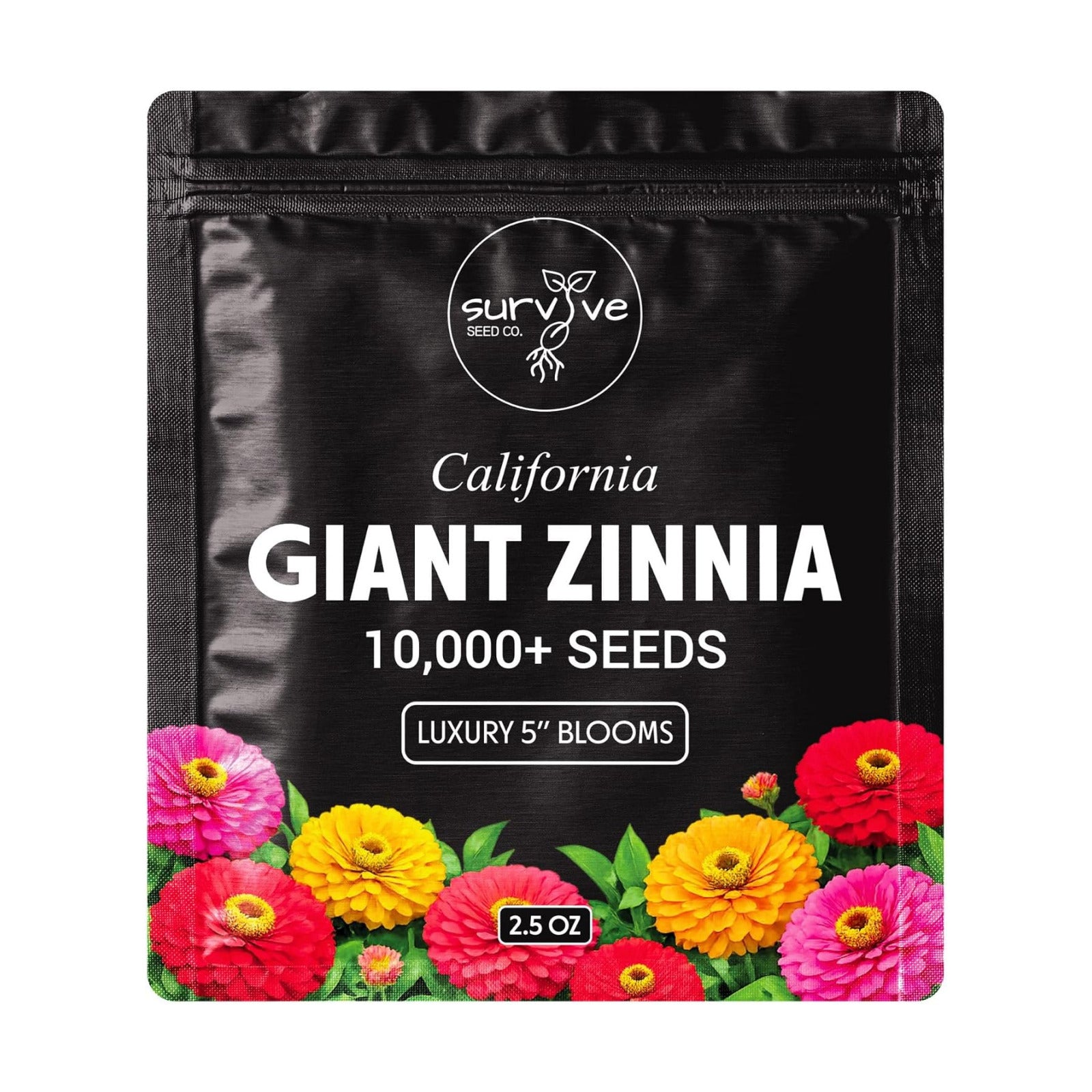 Zinnia Seeds California Giants Package of 10,000 Wildflower Seeds - Wild Flower Seeds Large Bright Blooms, Pure Non-GMO