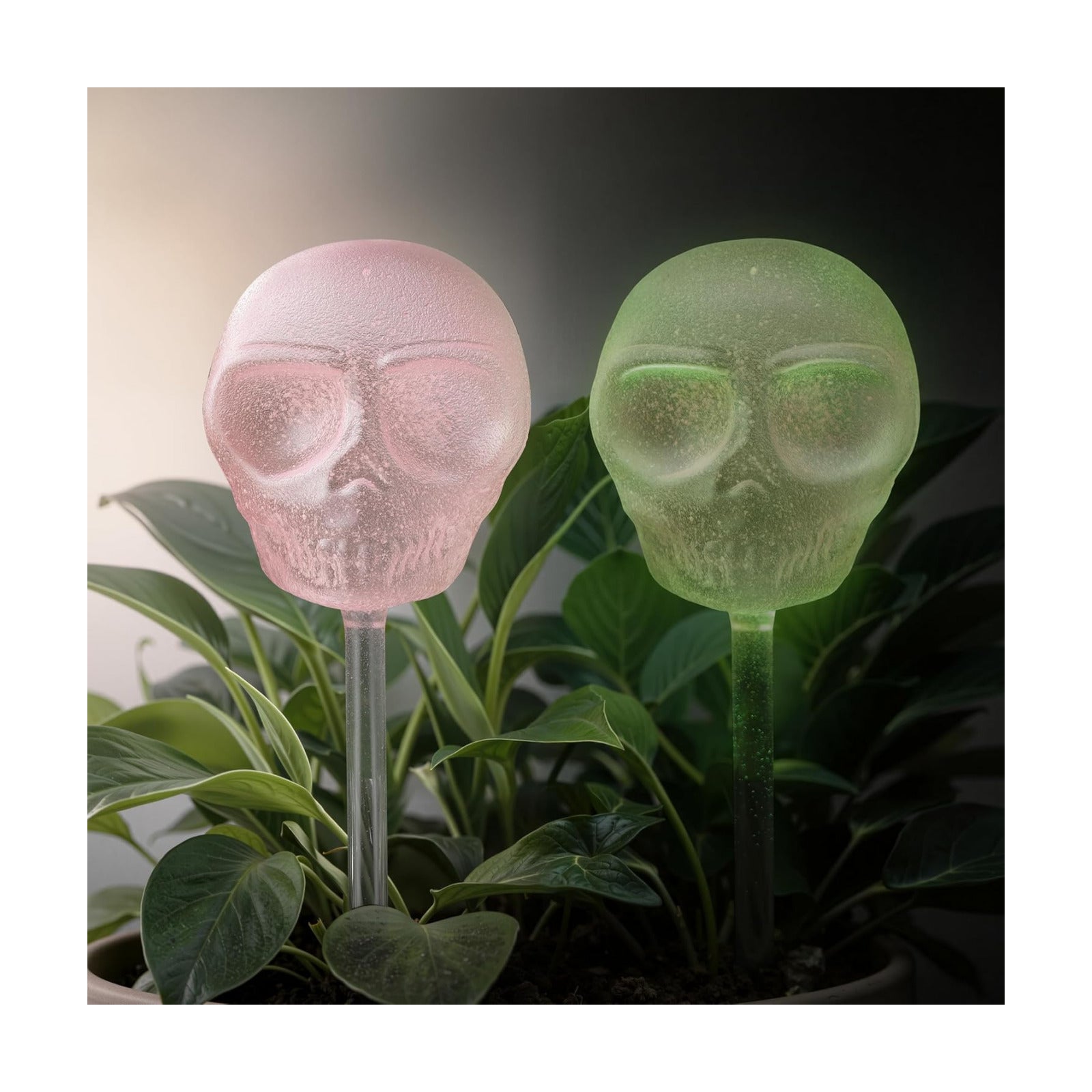 Soilagua 10 oz Glow-in-The-Dark Smiling Cute Skull Glass Plant Watering Globes, Halloween Goth Water Bulbs, Gothic