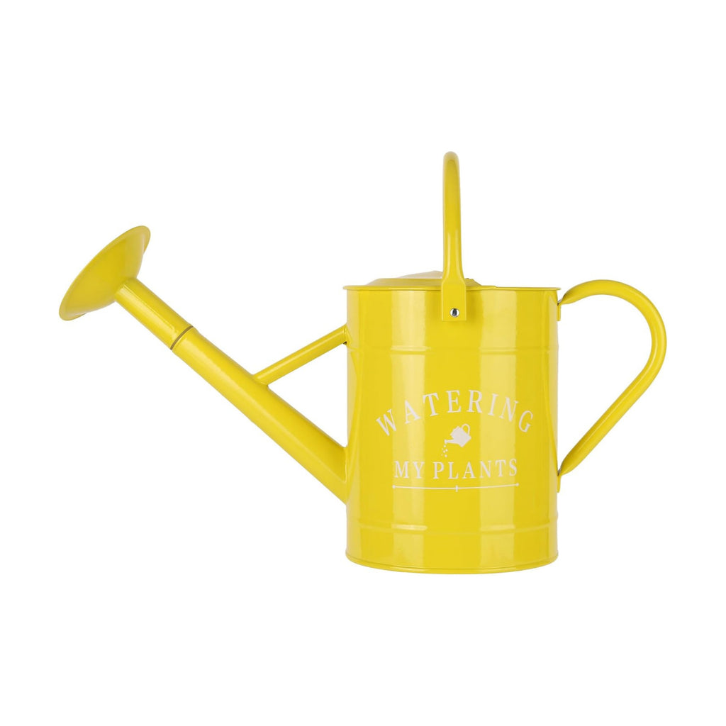 Garutom Galvanized Watering Can for Outdoor Indoor Plants, 1 Gallon Decorative Countryside Water Can with Removable