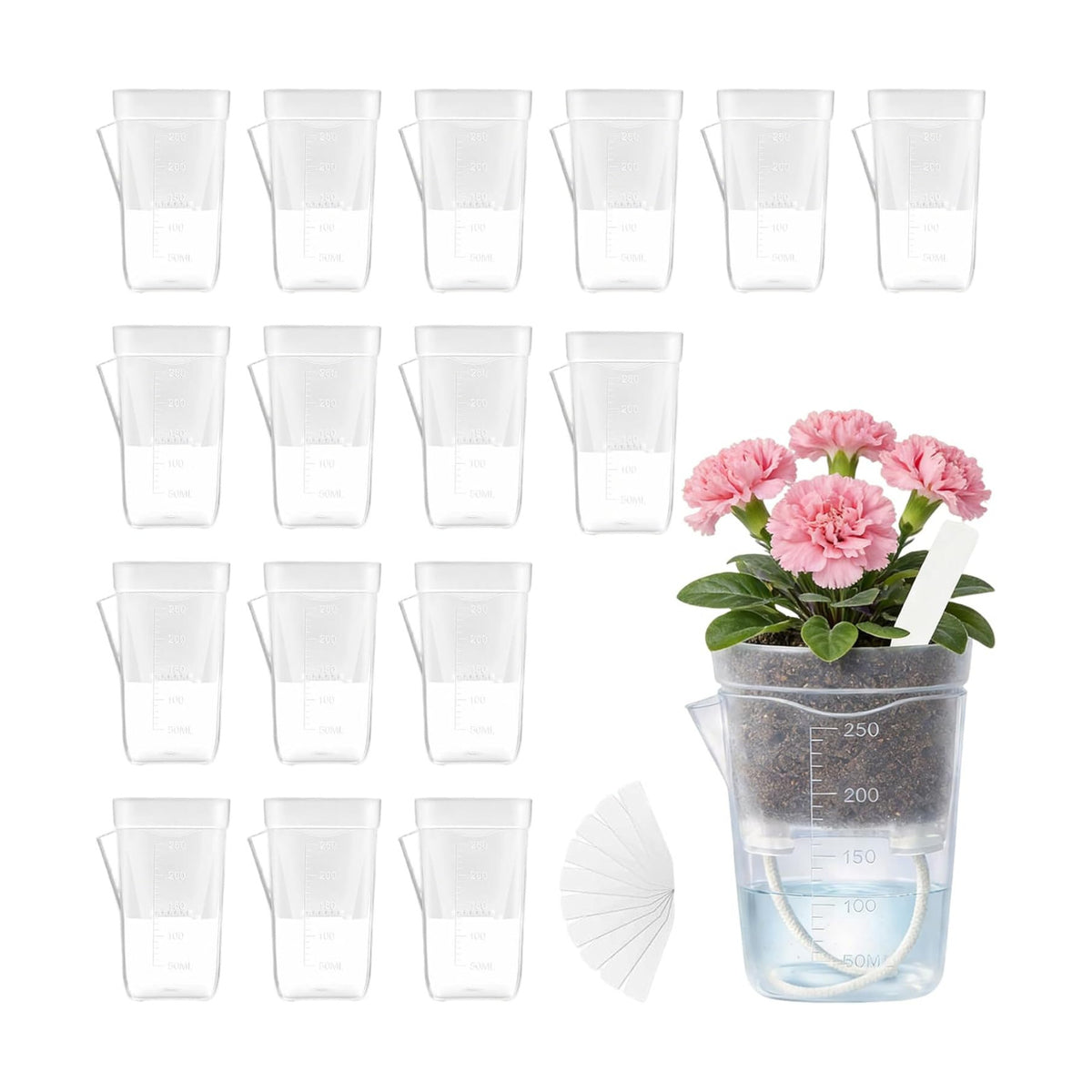 16 Pack 2.5" Clear Self Watering Pots for Indoor Plants, Mini Clear Plastic Planters, with 16 Plant Label and Water Level and Drainage Holes for Seedlings, Cuttings, Succulents (Large)