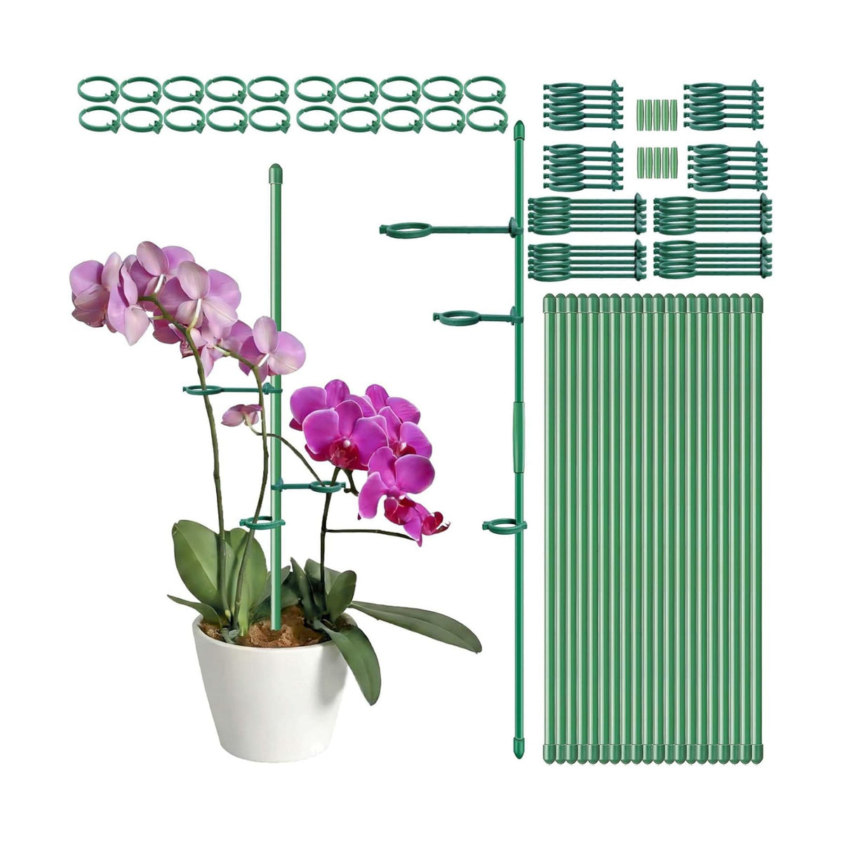 20 Set Plant Stakes 12 inch Extendable Plant Support Stakes with Adjustable Clips Rings, Flower Stem Plant Support Sticks for Indoor Outdoor Plants Stabilizer Garden Sticks for Orchid Rose Tomato