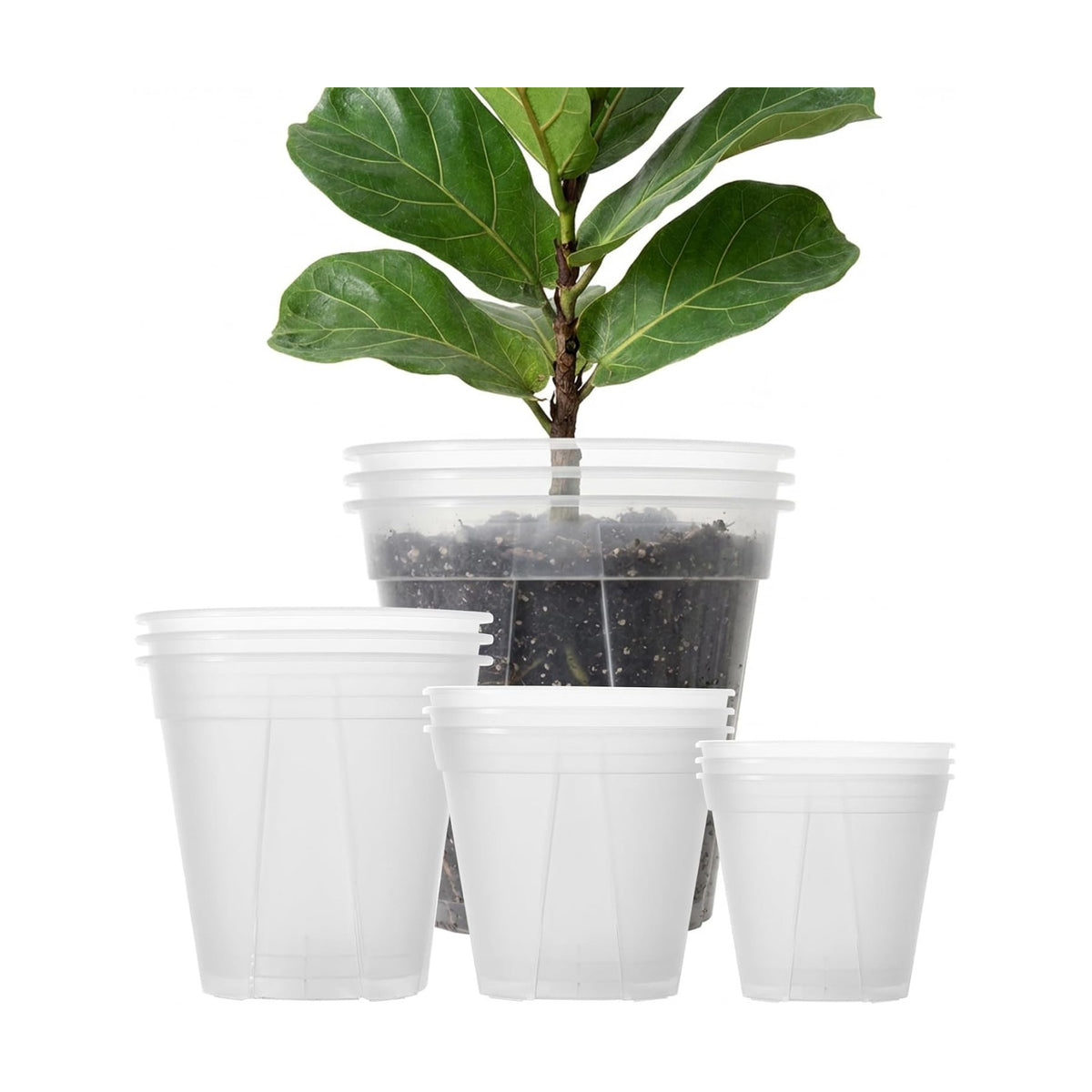 Large Clear Nursery Pot with Drainage Holes 7/8/10/12 inch,12pack