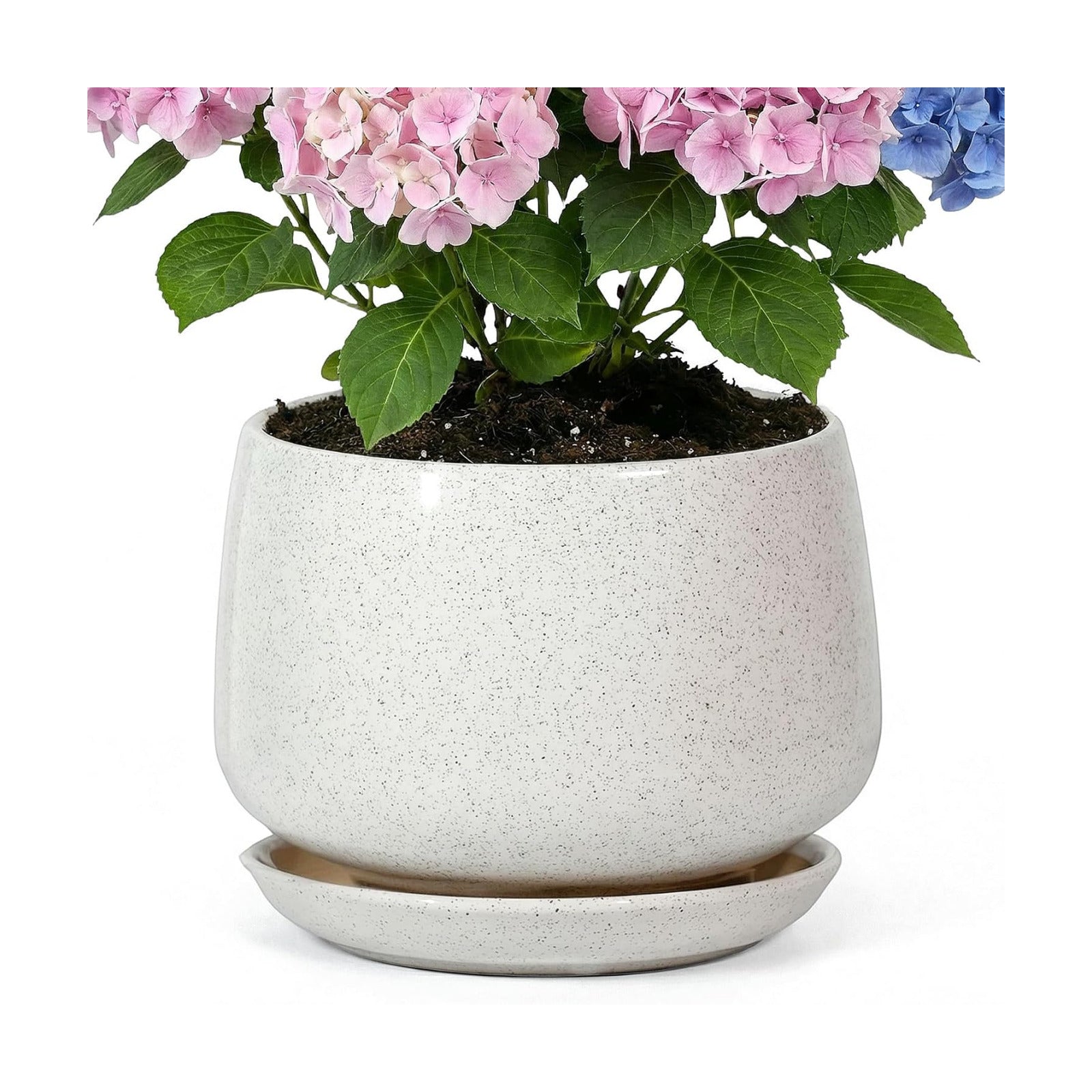 10.3 Inch Flower pots for Indoor Outdoor Plants with Saucer Drainage Leak-Proof Mesh, Ceramic Planter with Gardening