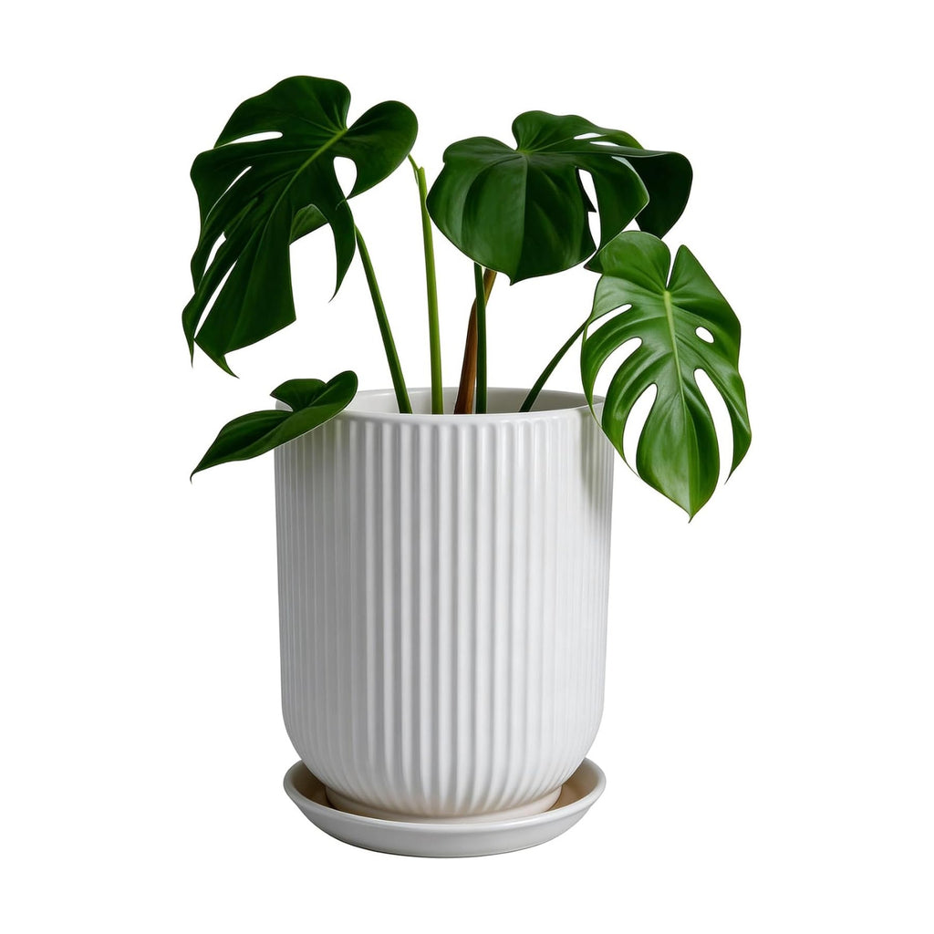 Deep Dream 8 Inch Ceramic Pots for Plants, Heavy Plant Pot for Indoor Outdoor Plants, Large Plant Pot with Drainage