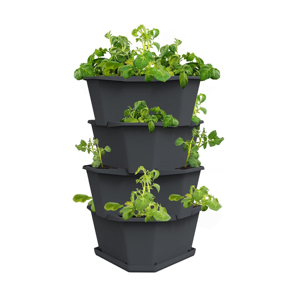 BUZZY Seeds Starter Stackable Vertical Planter – 4-Level Raised Garden Tower for Potatoes, Strawberries, Vegetables &