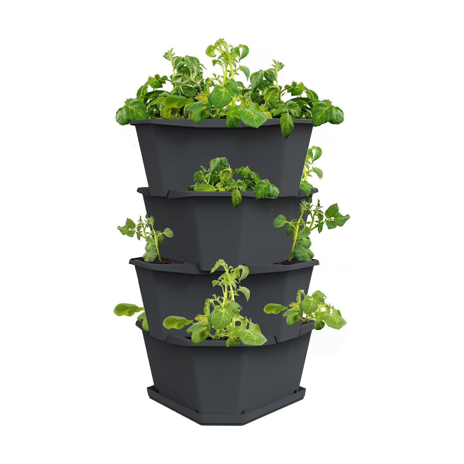 BUZZY Seeds Starter Stackable Vertical Planter – 4-Level Raised Garden Tower for Potatoes, Strawberries, Vegetables &