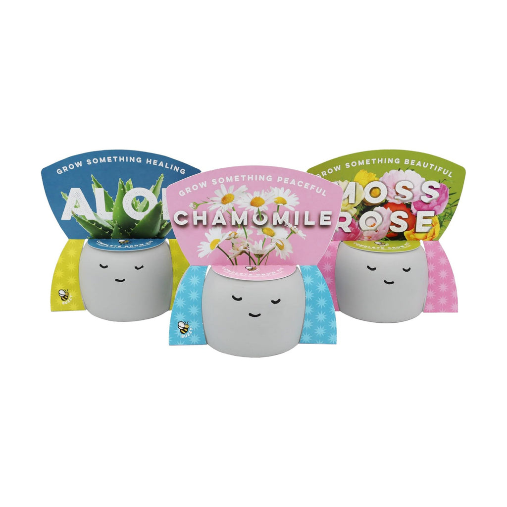 Buzzy Seeds Peaceful Face Planter Grow Kit 3-Pack - Face Ceramic Planter - Complete Indoor Gardening Kit with Seeds