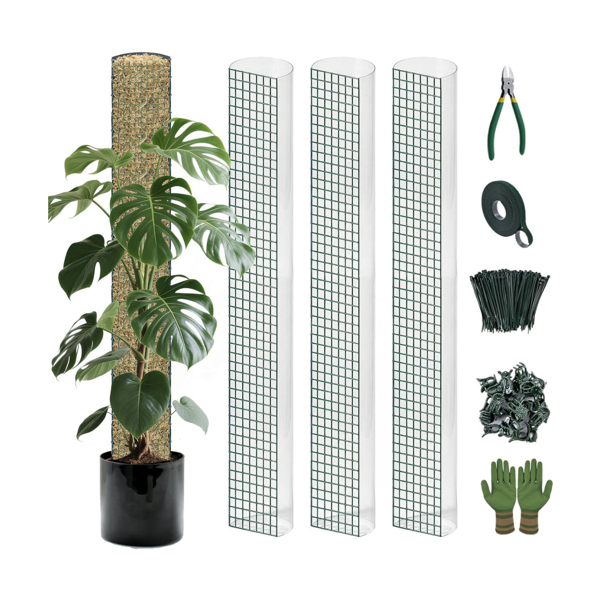 Metal Moss Poles for Climbing Plants, D-Shape Sphagnum Moss Pole Monstera Plant Support for Climbing Plants, DIY Plant Stakes Work with Sphagnum Moss (12ft D-Shaped Clear)
