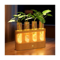 Lightalent Rechargeable Plant Propagation Station, LED Hydroponic Terrarium | Wooden Stand with 4 Glass Tubes and