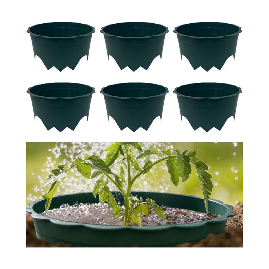 6pcs Planting Grow Rings, 10IN Round Edging Planting Protective Rings for Watering Vegetable, Herb, Flower, Circle