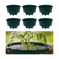 6pcs Planting Grow Rings, 10IN Round Edging Planting Protective Rings for Watering Vegetable, Herb, Flower, Circle